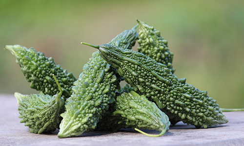 Bitter Gourd