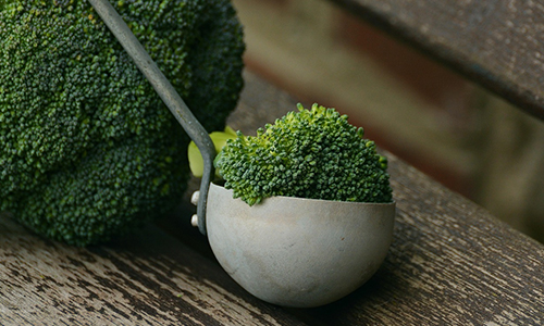 Broccoli