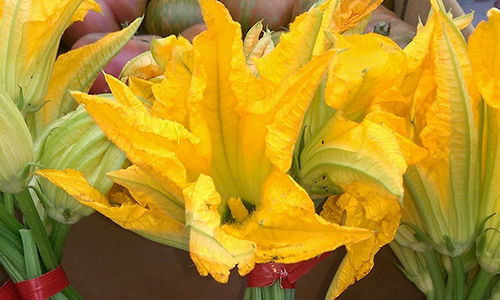 Squash Blossoms