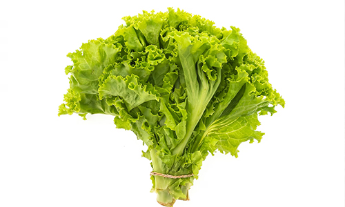 Lettuce