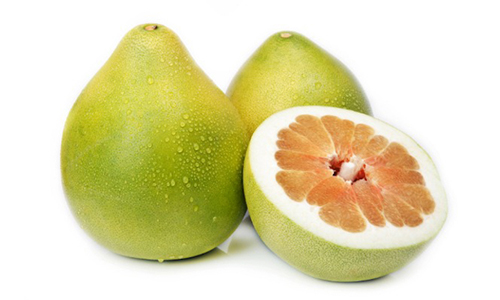 Aids Digestion and Gut Health