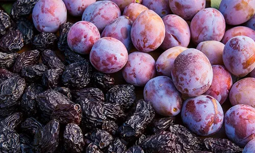 Rich Source of Antioxidants