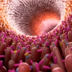 Gut Bacteria and Flatulence: Why Your Microbes Make You Fart