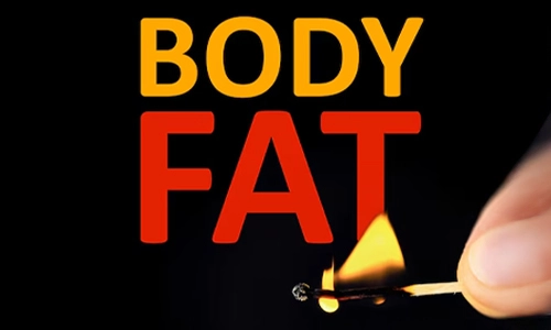 Proven Fat-Burning