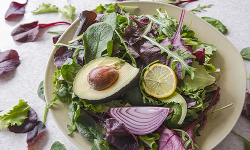Keto Vegan Diet