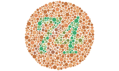  The Ishihara Plate Test