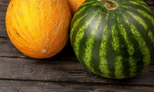 Front close view green watermelon and melons on the brown